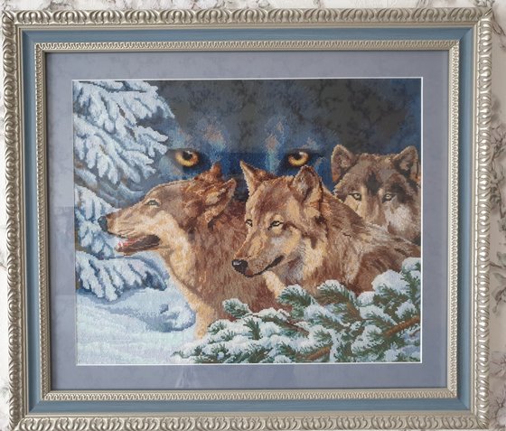 Работа «Волчий взгляд. Золотое руно.»