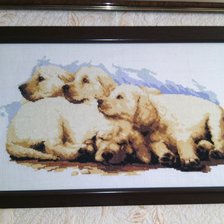 Работа «№92649»