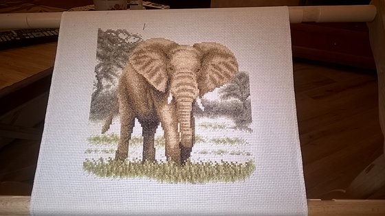 Работа «Схема от Panna. 14 каунт, аида. 36 цветов»