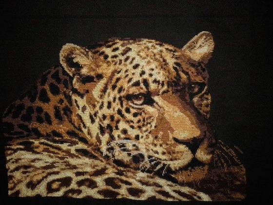 Работа «Дикая кошка»