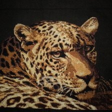 Работа «Дикая кошка»