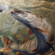 Работа «Щука»