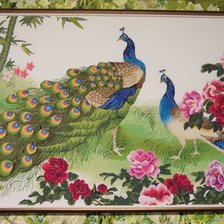 Работа «Павлины и цветы»