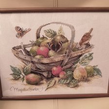 Работа «Летние фрукты»