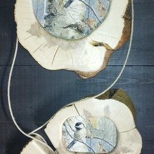 Работа «Синички на березе»