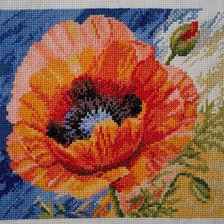 Работа «Поцелуй лета»