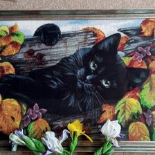 Работа «HAED Дырка в заборе»