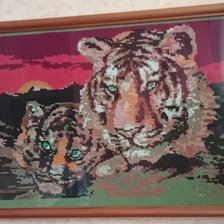 Работа «Тигры.Нежность. Работа сына»