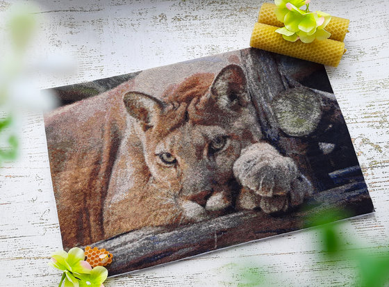 Работа «Пума»