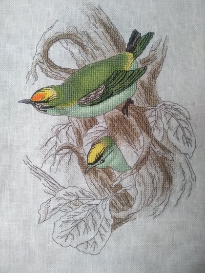 Работа «Корольки»