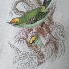 Работа «Корольки»