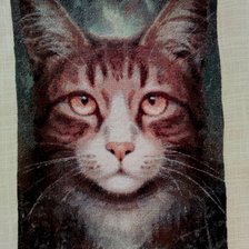 Работа «Хранитель1»