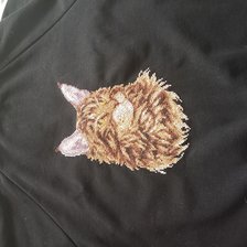 Работа «Мейн-кун panna»