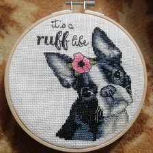 Работа «Французкий бульдог от Dimensons»