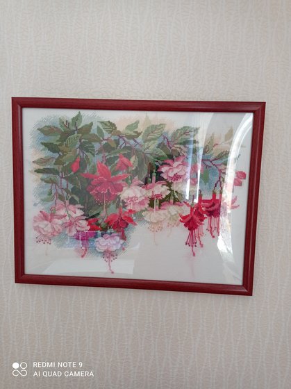 Работа «Фуксии Риолис»