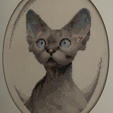 Работа «Кристи»