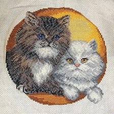 Работа «Котейка»