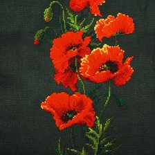 Работа «Маки»