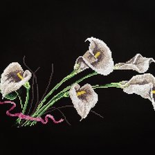 Работа «Каллы»