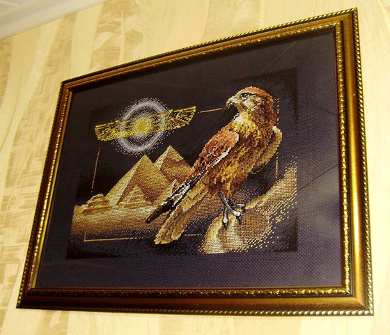 Работа «Взгляд сокола»