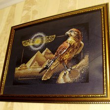 Работа «Взгляд сокола»