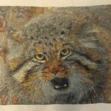 Работа «Манул»