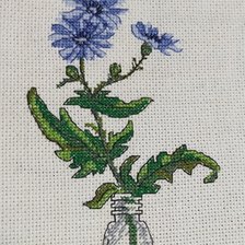 Работа «Цикорий»