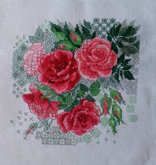 Работа «Красный шиповник. Риолис.»