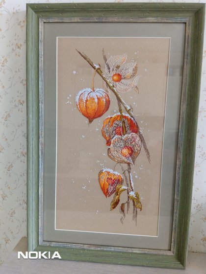 Работа «Физалис»