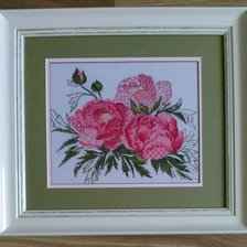 Работа «Кружевные пионы. Риолис.»