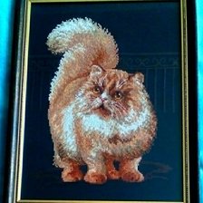 Работа «Кот»