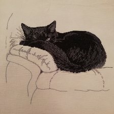 Работа «Кот»