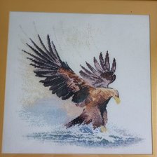 Работа «№93909»