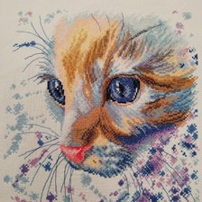 Работа «Кот»