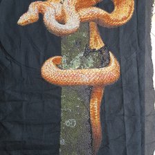 Работа «Змейка»