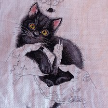 Работа «Кошачья магия»