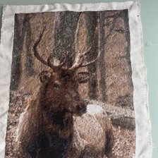 Работа «Олень»