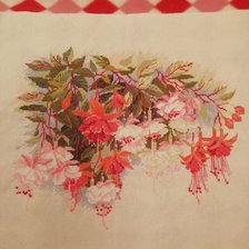 Работа «Фуксии»