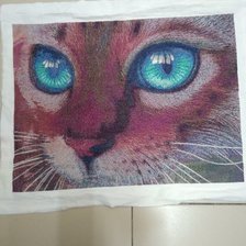 Работа «Кот»