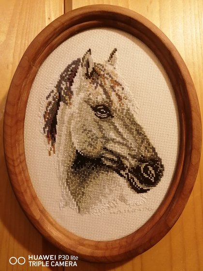 Работа «Лошадь»