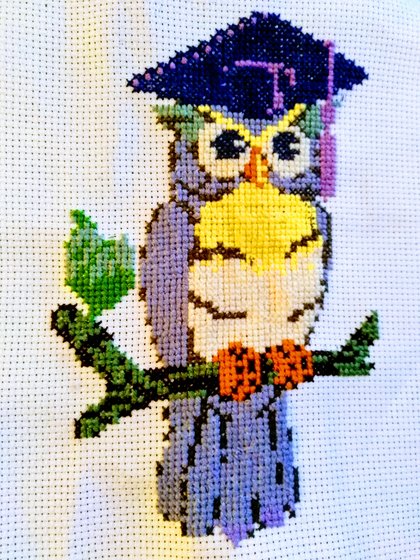 Работа «"Сова"»