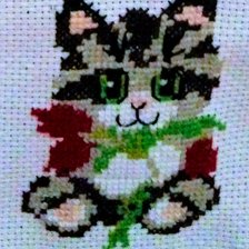 Работа «"Котенок и цветок "»