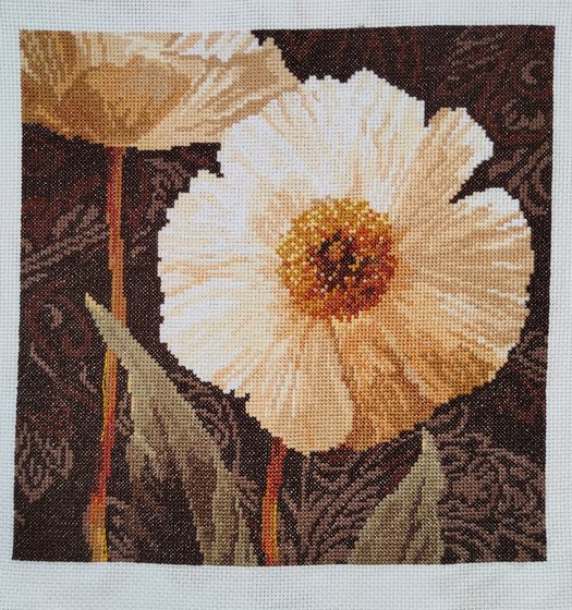 Работа «Белые цветы. Открытый свету.»