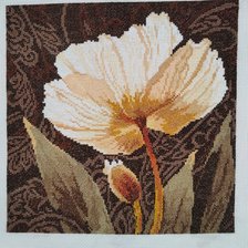 Работа «Белые цветы. Залитый светом.»