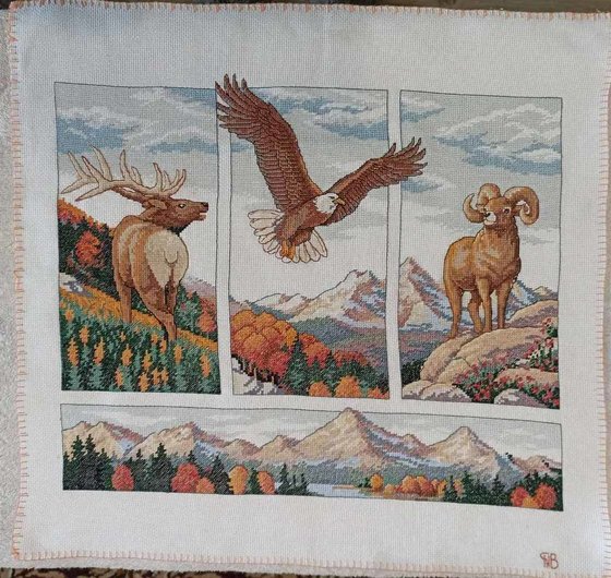 Работа «Красота Скалистых гор»