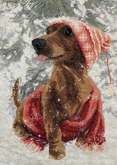 Работа «Такса в красном»