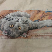 Работа «Кот Макс»