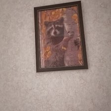 Работа «Енот»