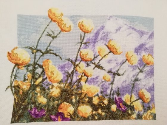 Работа «Горные цветы»