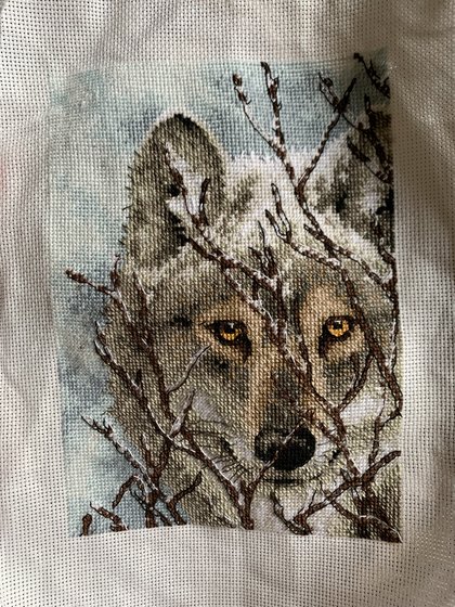 Работа «Волк Dimensions»